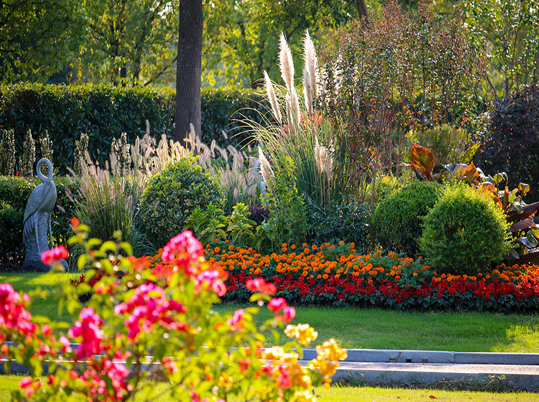 至善园公墓环境篇